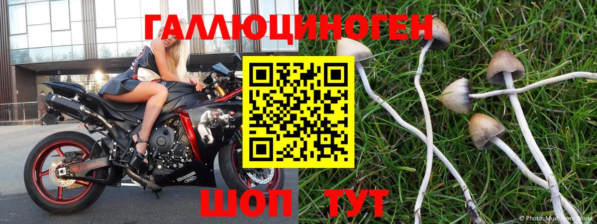 где купить   Вход с VPN  Галлюциногенные грибы Psilocybe  Нерюнгри  Галлюциногенные грибы MAGIC MUSHROOMS 